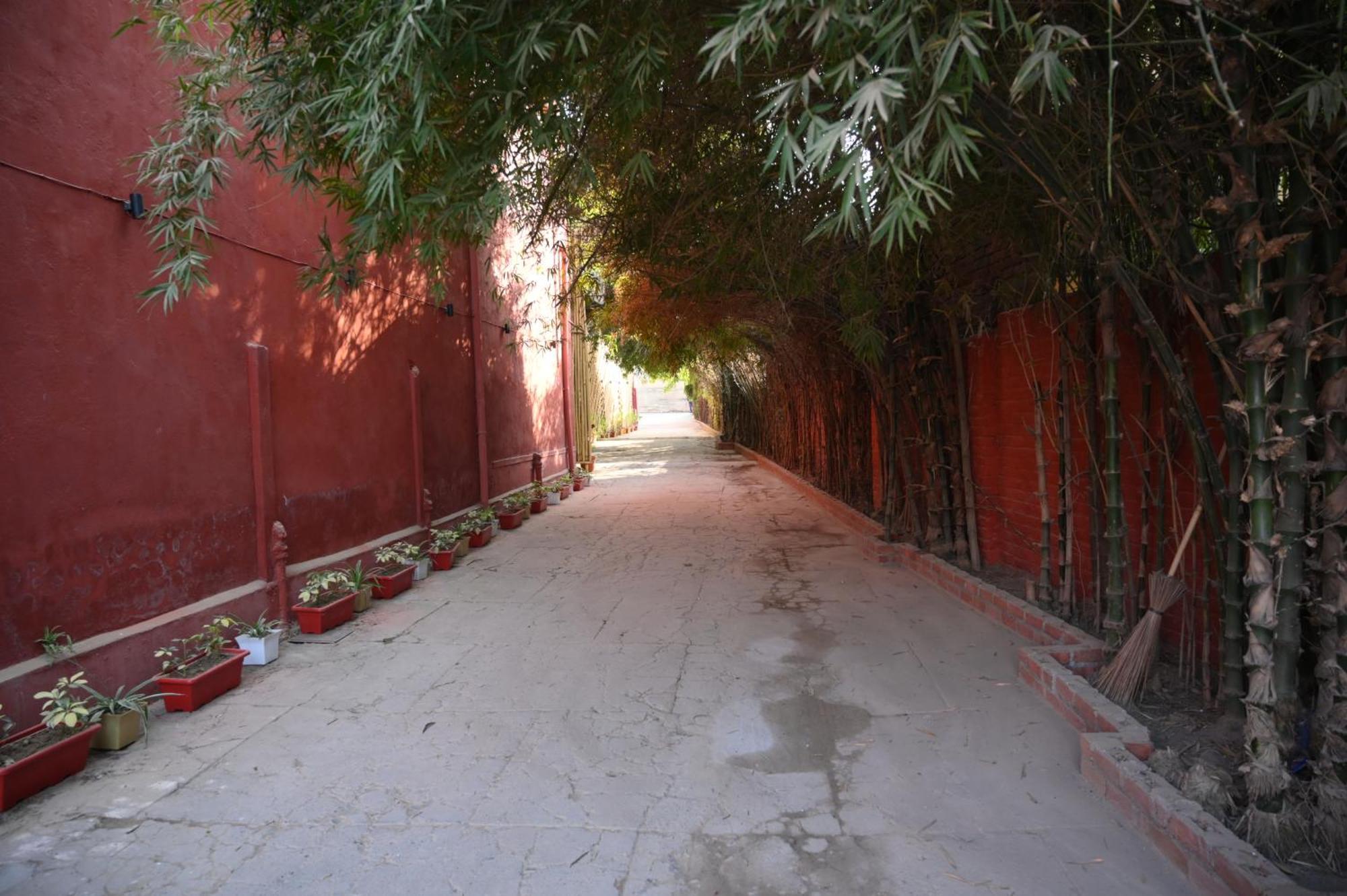 Raja Ka Bagh - A Boutique Hotel Nurpur المظهر الخارجي الصورة